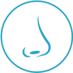 Rinoplastia Septum Nasal